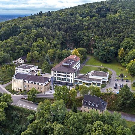 Kloster Neustadt Neustadt an der Weinstraße Exteriér fotografie