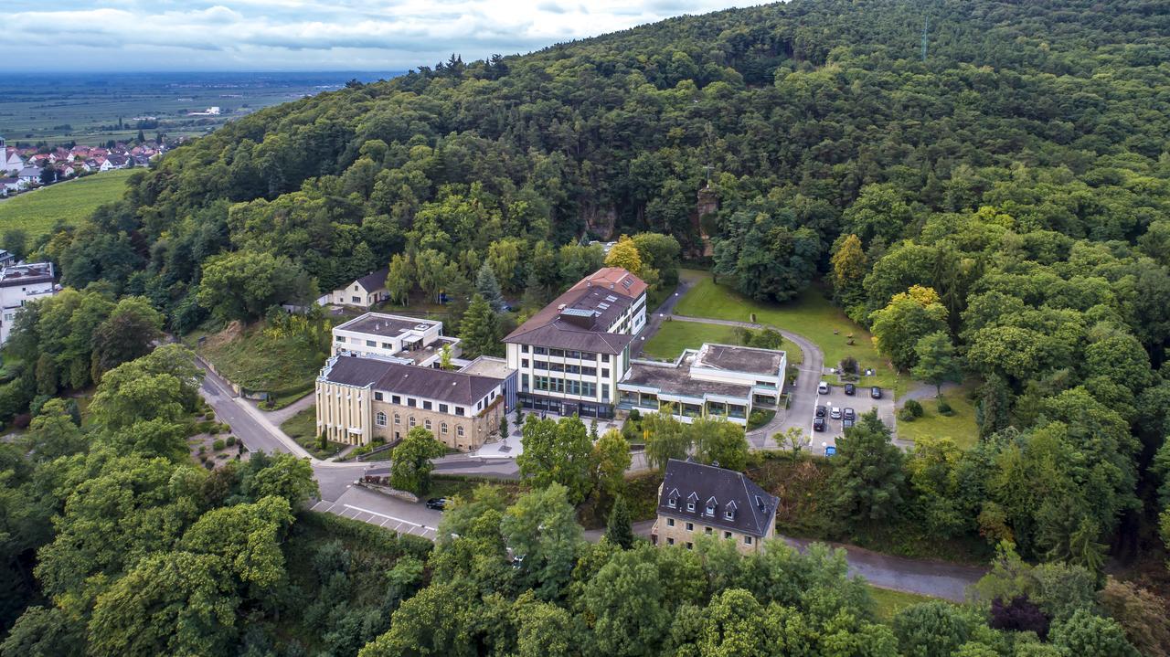 Kloster Neustadt Neustadt an der Weinstraße Exteriér fotografie